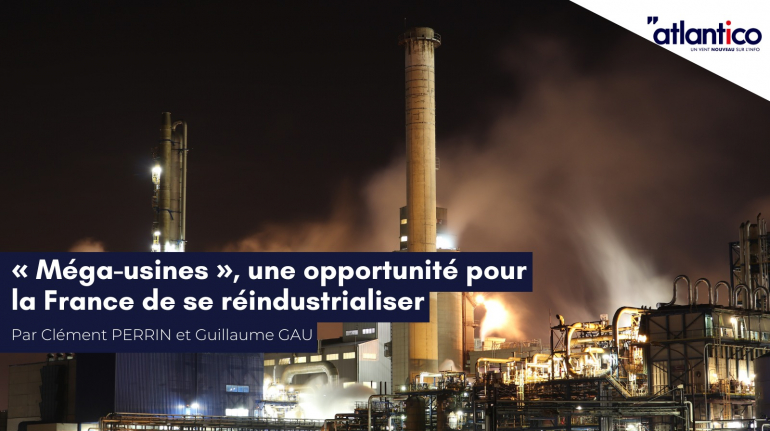 WhatsApp Image 2023-02-13 at 18.33.44 (1)