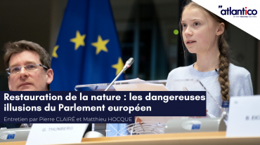 Copie de Tribune Twitter