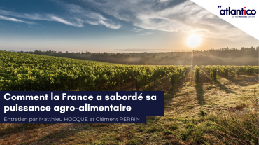 Copie de Tribune Twitter