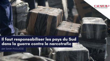 WhatsApp Image 2026-03-24 at 17.12.44