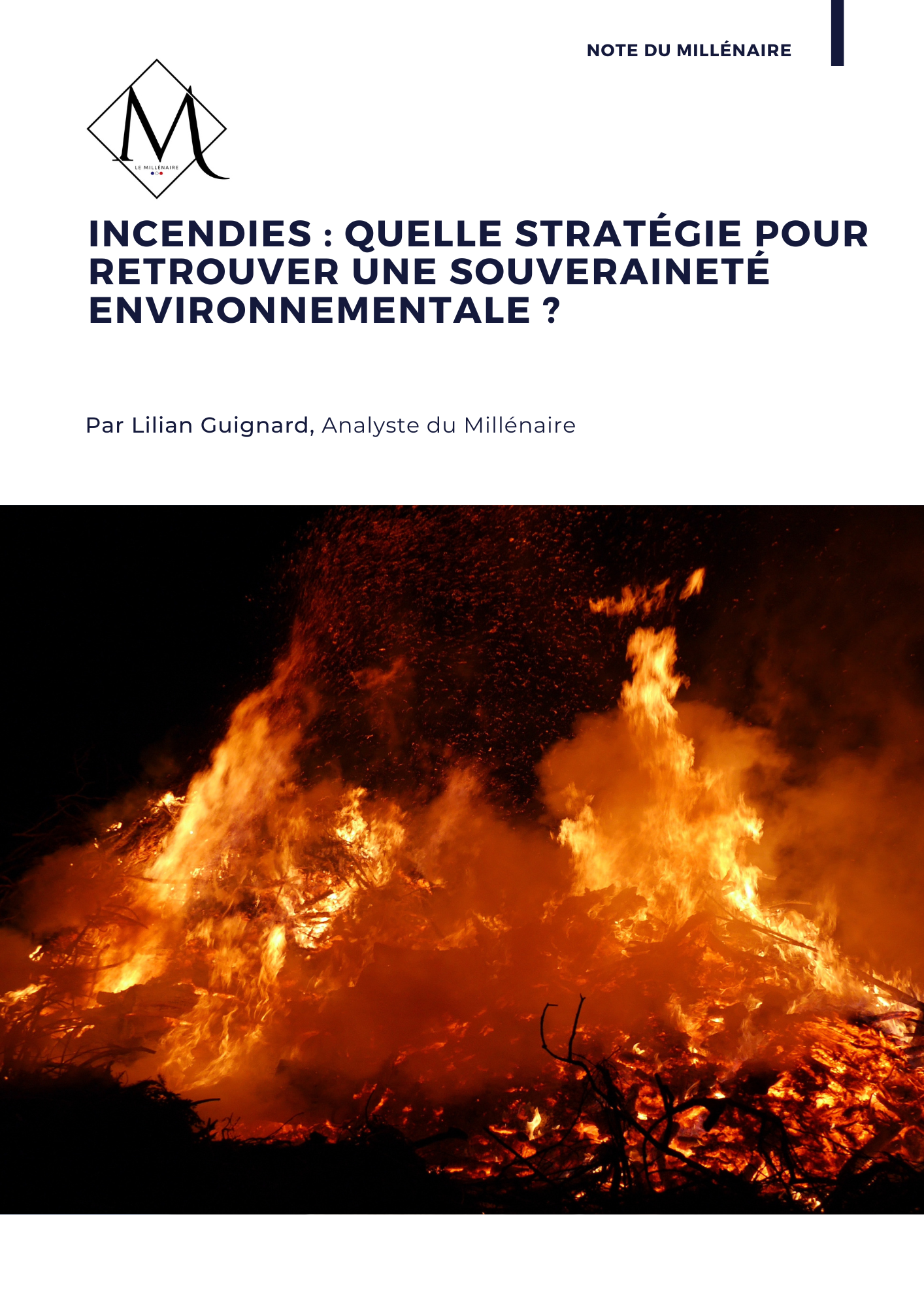 Incendies : quelle stratégie pour reconquérir notre souveraineté environnementale